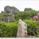 0909-0010 Daum카페