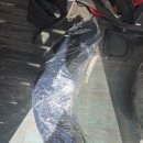 24년식 로드킹스페셜 순정휀다 순정훨(tpms제외)팝니다 이미지