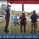 남부 부부시비 이미지