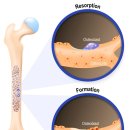밸런스짐 PT 헬스 이미지