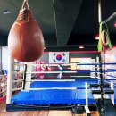 백프로 복싱체육관 | 목동 다이어트 운동 취미 복싱 추천 백프로복싱장 내돈내산