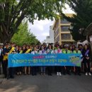 세이프존 이미지