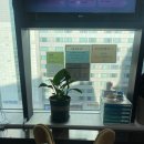 유디신부치과의원 이미지