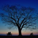 홈스토리공인중개사사무소 이미지