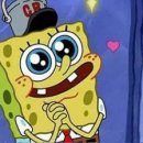 강아지랑 고양이 이미지