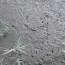 순천만여행 이미지