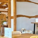 은봉애견 이미지