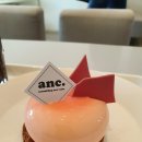 앤크(anc) 이미지
