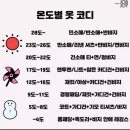 세란약국 이미지