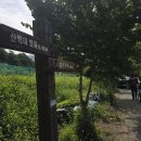 2026.07.31.(금)갈론계곡/솔향기님기획,나마스테님 리딩 이미지