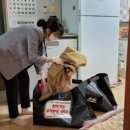 수송동행정복지센터 이미지