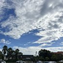 표선리-23 | [제주 한 바퀴 DAY3] 그래 쉬어가자..