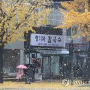 오매