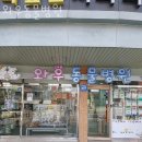 와우 동물병원 | 마포구 성산동 동물병원 와우동물병원 위치 오는길 후기