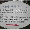 21세기미 이미지