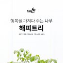 해피트리