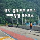 영덕 블루로드 A코스 해파랑길 20코스 트레킹 해안길 우회도로