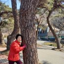 백양사(천안) Daum카페
