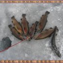 직천낚시터 이미지