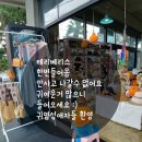 테리베리스