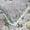 하늘봄사진관 이미지