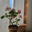 동서촌로 | [평택] 팽성읍 객사리 분위기 좋은 카페 커피 맛집 '홍사우커피집' 내돈내산 후기