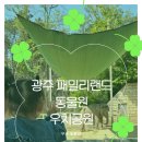 광주패밀리랜드(주) 이미지