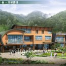 치유의숲 진입도로 이미지