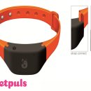 PETPLUS 티스토리