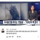 일상 고찰