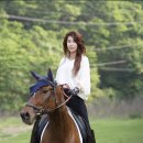 용인씨씨승마클럽 이미지