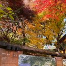 부석사관광안내소 | 단풍명소 영주 부석사/ 오늘 실시간 지금날씨 상황 가을 가볼만한곳