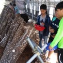 사창농장 이미지