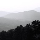 금 강  1 이미지