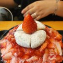 아라도야지 이미지
