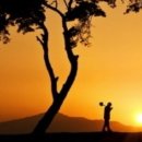 꿈꾸는 별 이미지