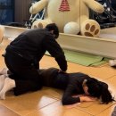 비벨라핏 | 월성동PT 여성전용헬스장 비벨라핏 신월성점에서 경험한 찐 개인피티 후기