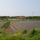 장촌칼국수 이미지