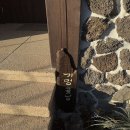 거멍곶낭 이미지