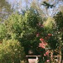 하이메 스테이 이미지