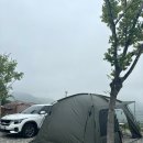 캠린이 첫캠핑🏕️(ft.팔공마루캠핑장)