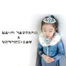 얼음나라공주