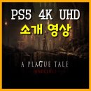 스튜디오플래그 이미지