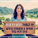 한바퀴]경기 가평군편(376회) 맛집 위치 어디? 솥뚜껑닭볶음탕・꽃차꽃떡쌈・노랑다리미술관・송어회 요약