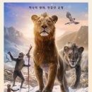 신정아식스 이미지