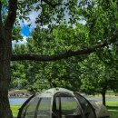 운문댐하류보1 이미지