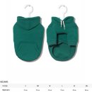 아지다펫 이미지