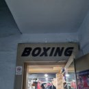 전진만 챔피언 복싱클럽 이미지