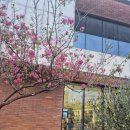 대춘해장국이호점 이미지