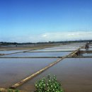 재인 태양광발전소 이미지